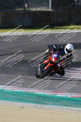 media/Mar-17-2024-Fastrack Riders (Sun) [[c7d6f8c14c]]/Level 1/Turn 6/
